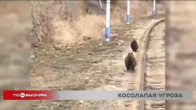 Запрет на посещение КБЖД для туристов снят смотреть онлайн