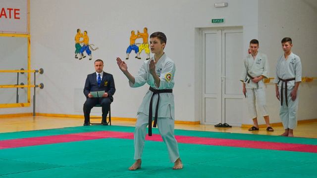 Чемпіонат Рівненської обл з ГОДЗЮ-РЮ КАРАТЕ 2016 Спортсмени клуба "БІЛИЙ ЛОТОС", розділ-КАТА смотреть онлайн