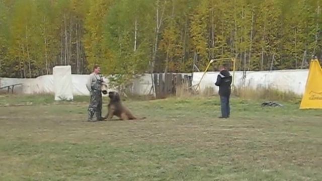 MVI 4635 Эрик в защите на марафоне октябрь 2017 смотреть онлайн