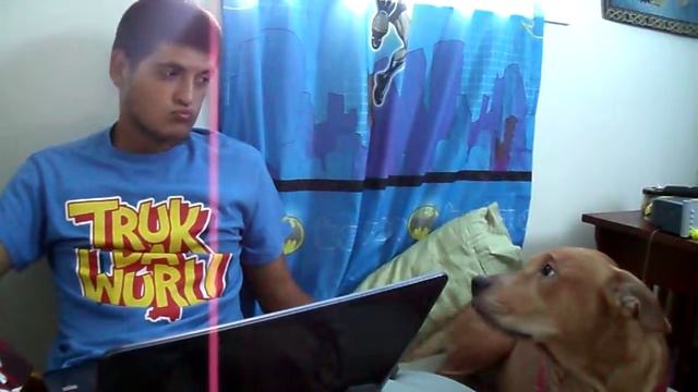 Pit stare Питбуль и хозяин, полное взаимопонимание смотреть онлайн