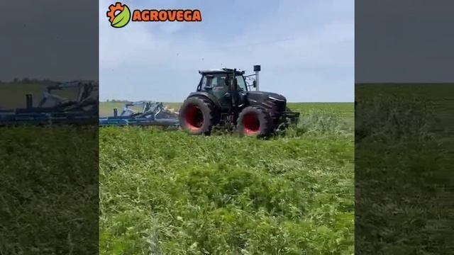 Трактор AGROVEGA TK260 смотреть онлайн