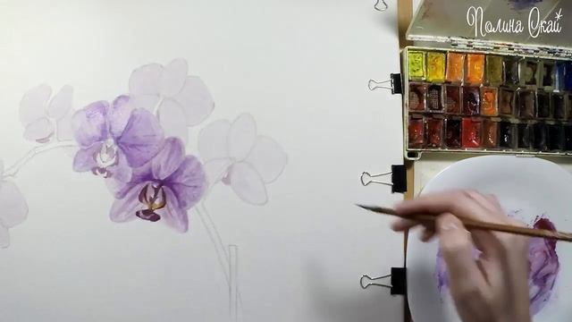 Рисунок акварелью орхидея / Оrhid watercolor speedpaint смотреть онлайн
