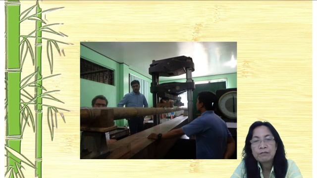 Lecture on Physical and Mechanical Properties of Philippine Bamboo смотреть онлайн