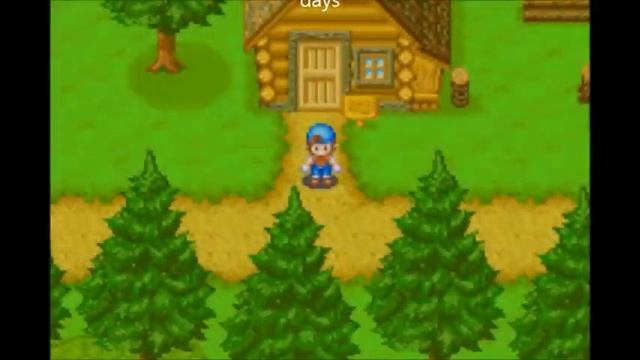 Vacation House (Harvest Moon Friends of Mineral Town) смотреть онлайн