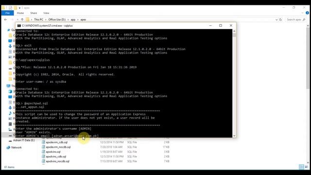 Oracle Apex Overview смотреть онлайн