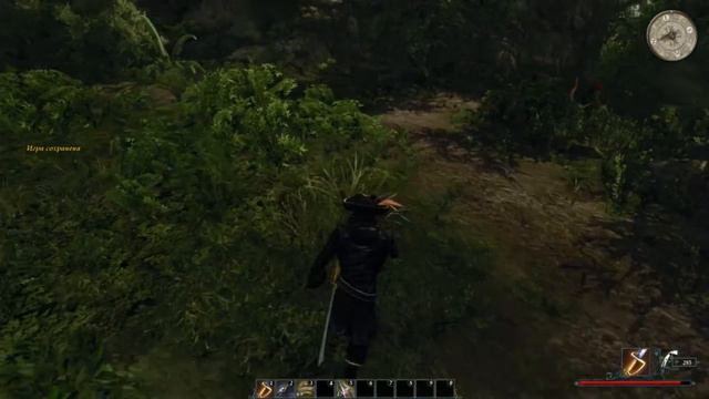 Risen 2: Dark waters серия 52 - Горгульи на Берегу Меча смотреть онлайн