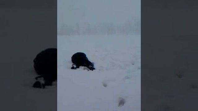 Давай за жизнь.mp4 смотреть онлайн
