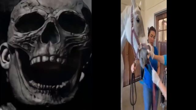 ЭТО ВИДЕО НЕЛЬЗЯ СМОТРЕТЬ ! смотреть онлайн