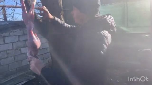 Забій і Раздєлка кролика! Так як це робили наші діди! смотреть онлайн