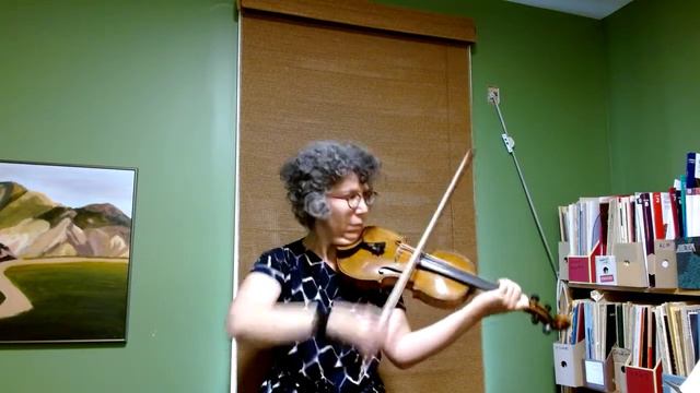 Dont Etude 1 op 35 #advanced violin techniques смотреть онлайн