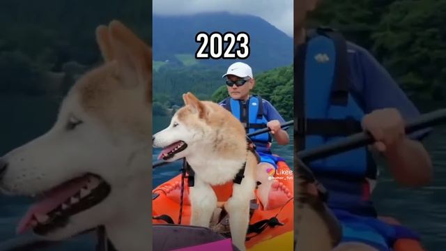 Like_7193720287033367096.mp4 смотреть онлайн
