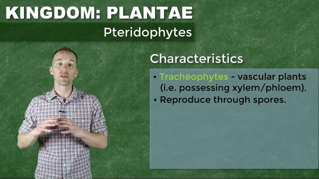 The Plant Kingdom смотреть онлайн
