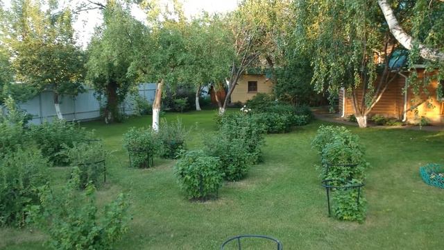 Непряхино 13.06.2021 года смотреть онлайн