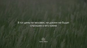 Какую же из милостей вашего Господа вы считаете ложью?