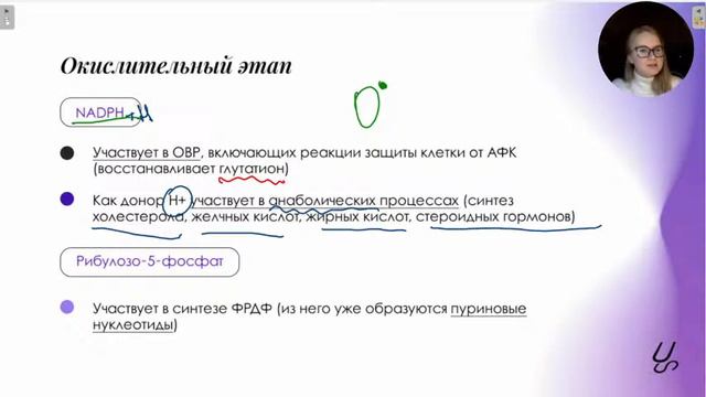 Обмен углеводов и липидов: на что обратить внимание смотреть онлайн