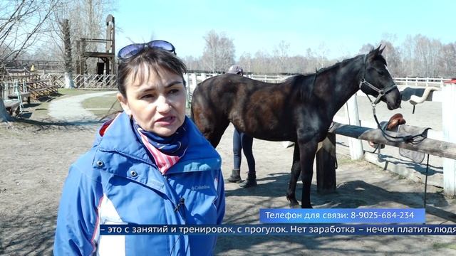 Конный клуб в Ангарске оказался на грани выживания смотреть онлайн