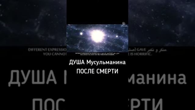 душа мусульманина после смерти смотреть онлайн