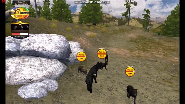 Midnight Quest : A Dream That Almost Became a Nightmare смотреть онлайн