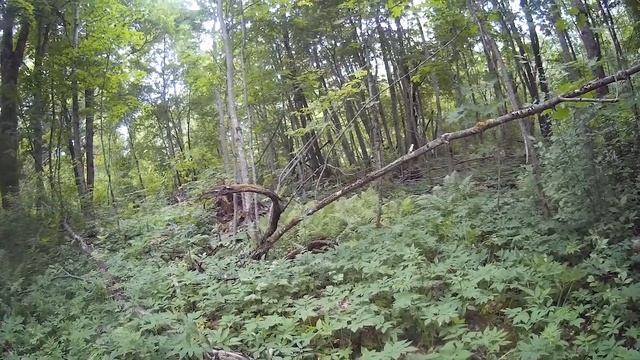 Fisher F44. Шляпный коп или недошурф. Коп с камрадом, часть #5. смотреть онлайн