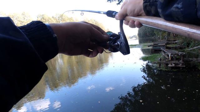 ТРОФЕЙНЫЙ ЛЕЩ НА ФИДЕР - Рыбалка на Осиповичском водохранилище смотреть онлайн