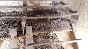 Курятник  на 150 кур - несушек!!!