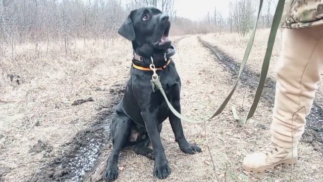 Гурт движения 19.11.2022 смотреть онлайн