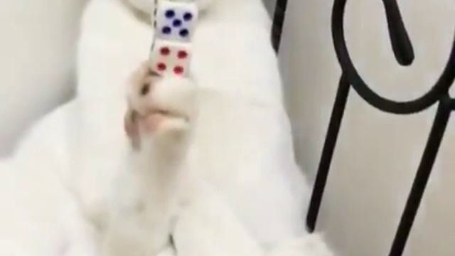 Равновесие смотреть онлайн