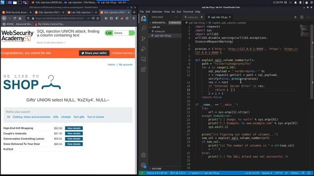 SQL Injection - Lab #4 SQL injection UNION attack, finding a column containing text смотреть онлайн