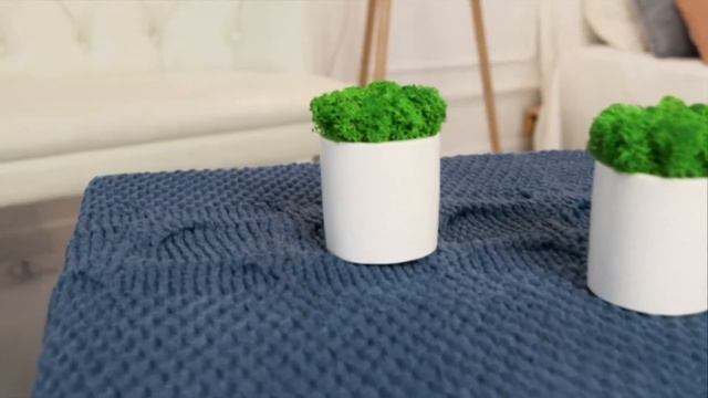 Подарок на день рождения кашпо со мхом Cylinder Wite Set Trio