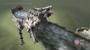 Обзор Shadow of the colossus PS2, PS3, PS4