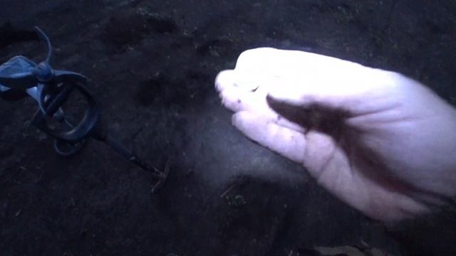 Группа Золотой Скиталец. Часть 60. Ночной коп. смотреть онлайн