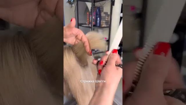 крутая стрижка Шегги - нравится? смотреть онлайн