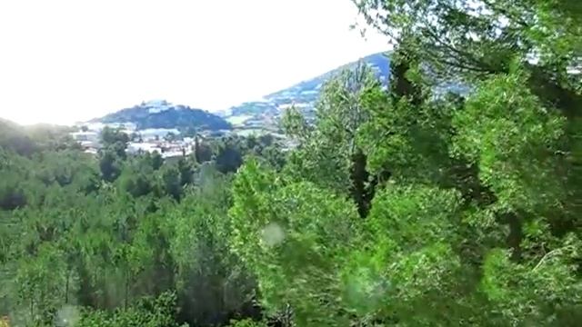 утро на ибице, петухи кричат смотреть онлайн