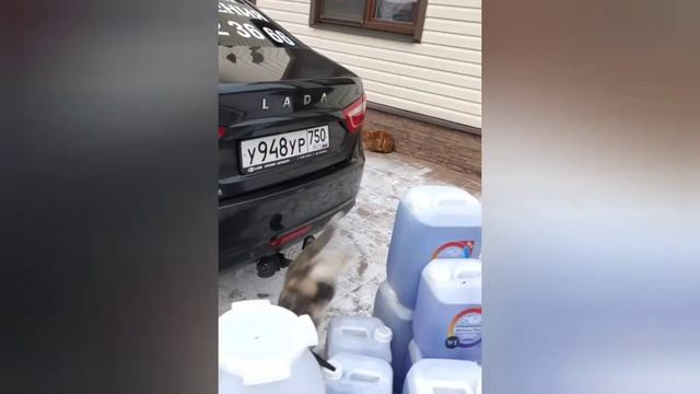 Замена теплоносителя в системе отопления смотреть онлайн