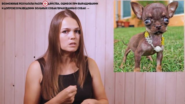 Вязать или не вязать? Вот в чем вопрос... )))! смотреть онлайн