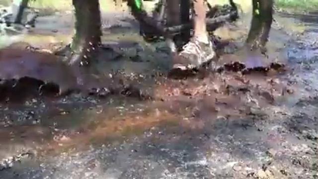 Tiefen Matsch mit dem Fatbike bewältigen смотреть онлайн