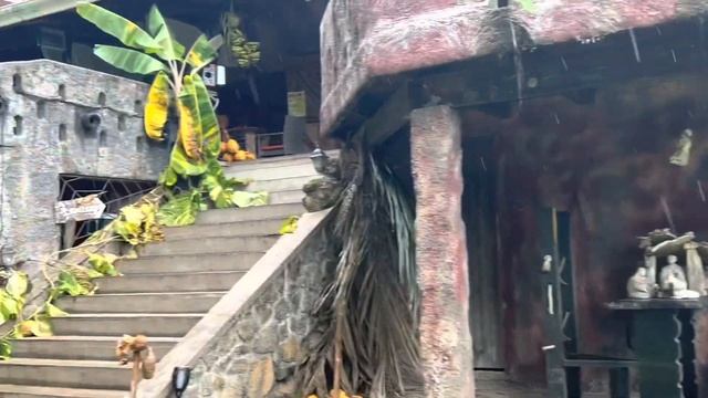 TAKAMAKA??дегустация 25$ /restaurant/art Gallery Seychelles ☀️?