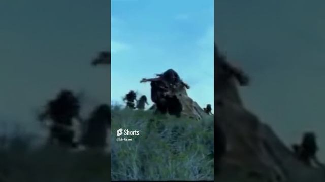 Хомосапиенсы встретили Неандертальцев.mp4