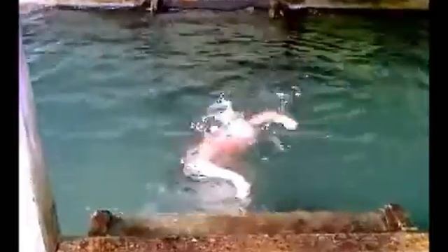 Гремячий Ключ Купание в открытой купальне DOMOVENOKEDIC.RU смотреть онлайн