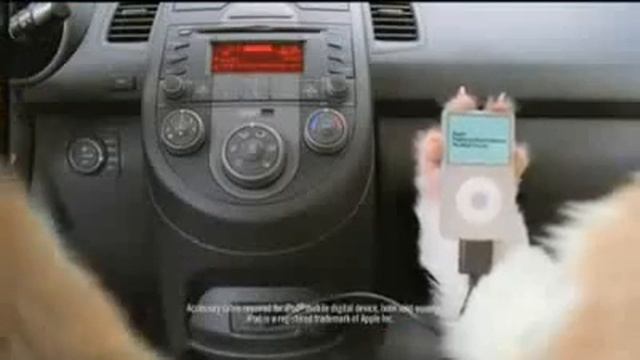Kia Soul Hamsters Commercial - Front back side to side (Download) смотреть онлайн