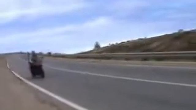 Африка стала ближе! смотреть онлайн