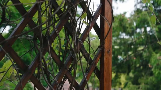 Creative Ways to Add Privacy ? Landscape design strategies for instantly private backyards смотреть онлайн
