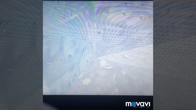 Семья барсучков (shelter 1) маленькие барсучата смотреть онлайн