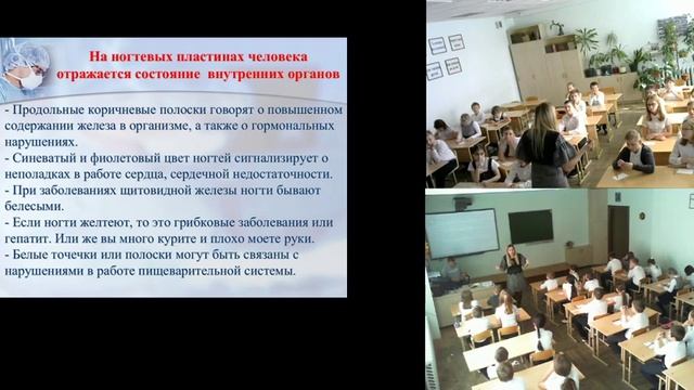 внеклассное занятие "Жизнь и здоровье человека" смотреть онлайн
