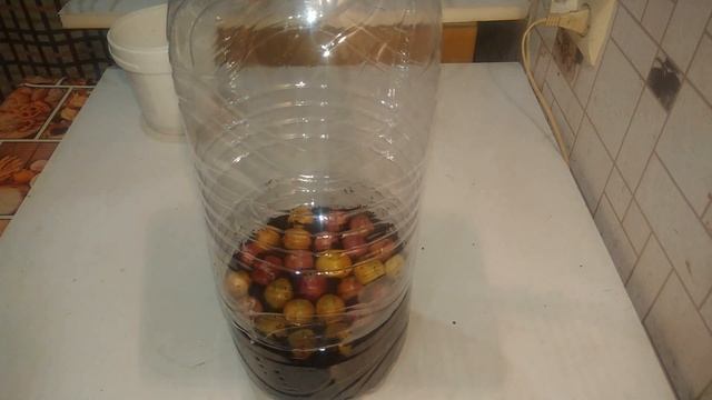 Как посадить и вырастить зеленый лук зимой на подоконнике.Лук на перо смотреть онлайн