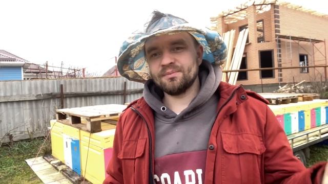 Как пчёлам зимовать на юге? ОПАСНО чем на севере! Зимовка пчёл на побережье чёрного моря без потерь смотреть онлайн