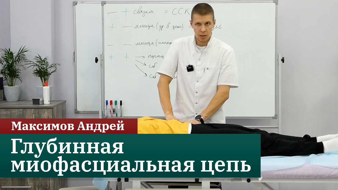 Глубинная миофасциальная цепь. Максимов Андрей смотреть онлайн