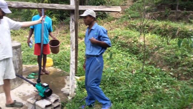 Плантация. 2 года с начала закладки смотреть онлайн