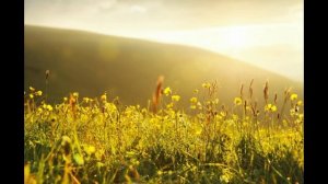 Клип "Утро" - исполнитель скрипач-виртуоз Вардан Маркос