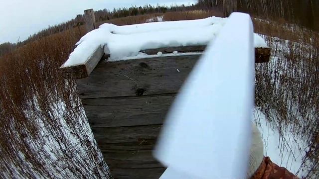 Картечь 6.2 отстрел 20 , 35 метров Сайга 20С смотреть онлайн